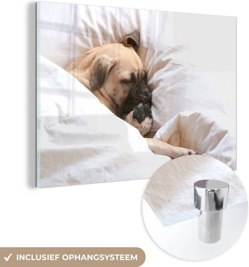 MuchoWow Glasschilderij 120x80 cm Schilderij acrylglas Hond slaapt in bed met een knuffel Foto op glas Schilderijen