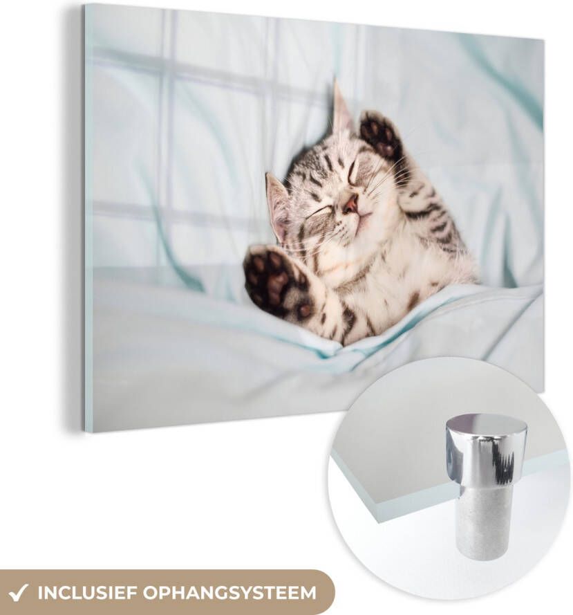 MuchoWow Glasschilderij 120x80 cm Schilderij glas Kitten Slaap Bed Foto op acrylglas Schilderijen