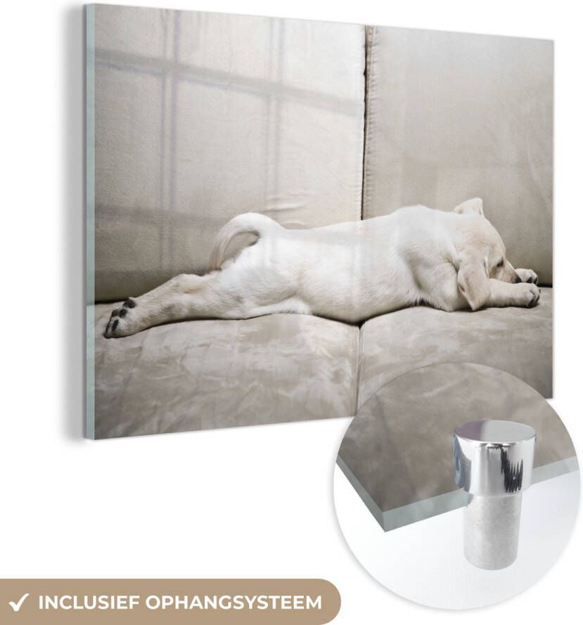 MuchoWow Glasschilderij 150x100 cm Schilderij acrylglas Labrador puppy op bank Foto op glas Schilderijen