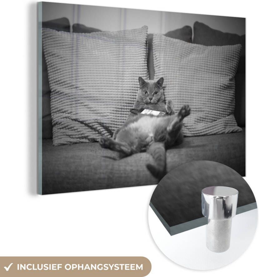 MuchoWow Glasschilderij 150x100 cm Schilderij glas Luie kat op bank zwart wit Foto op acrylglas Schilderijen
