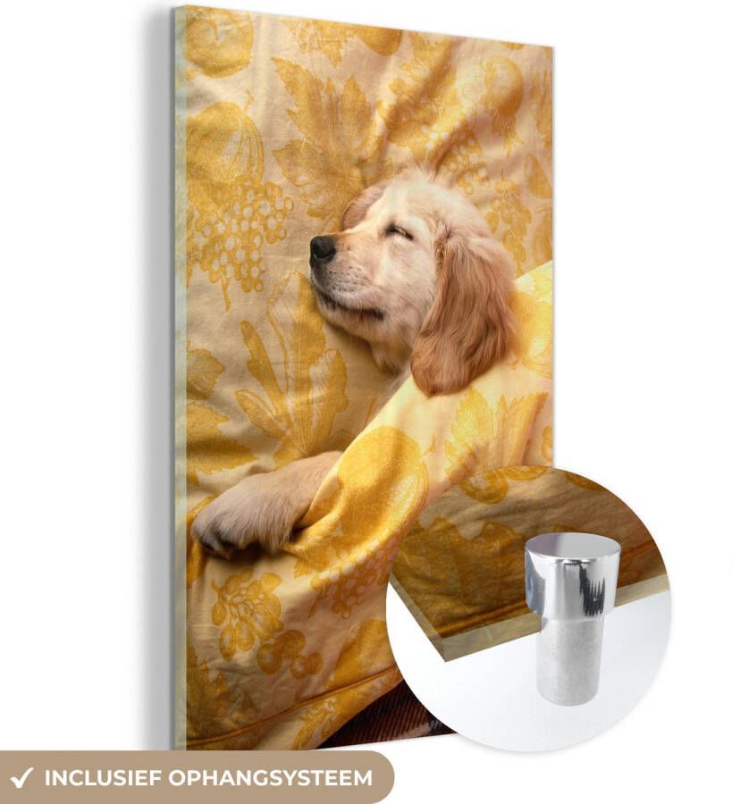 MuchoWow Glasschilderij 20x30 cm Schilderij glas Golden retriever pup ligt op bed Foto op acrylglas Schilderijen