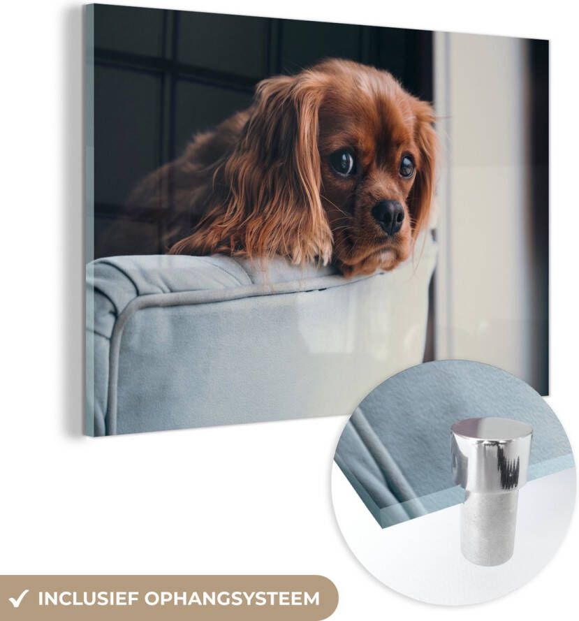 MuchoWow Glasschilderij 30x20 cm Schilderij glas Hond Stoel Kop Foto op acrylglas Schilderijen