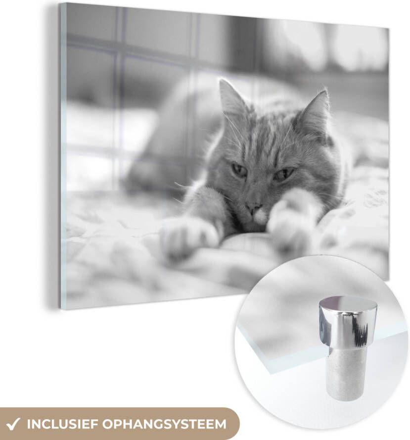 MuchoWow Glasschilderij 60x40 cm Schilderij glas Kat Bed Bedsprei Meisjes Kinderen Jongens Kind Foto op acrylglas Schilderijen - Foto 2