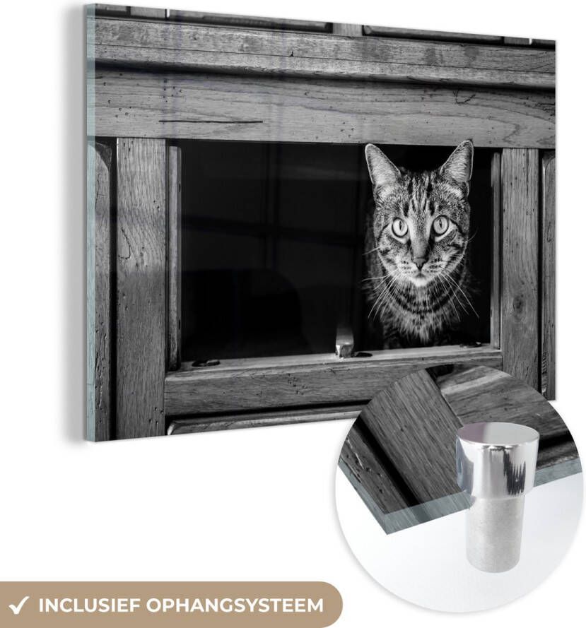 MuchoWow Glasschilderij 60x40 cm Schilderij glas Kat die uit een kast komt Foto op acrylglas Schilderijen