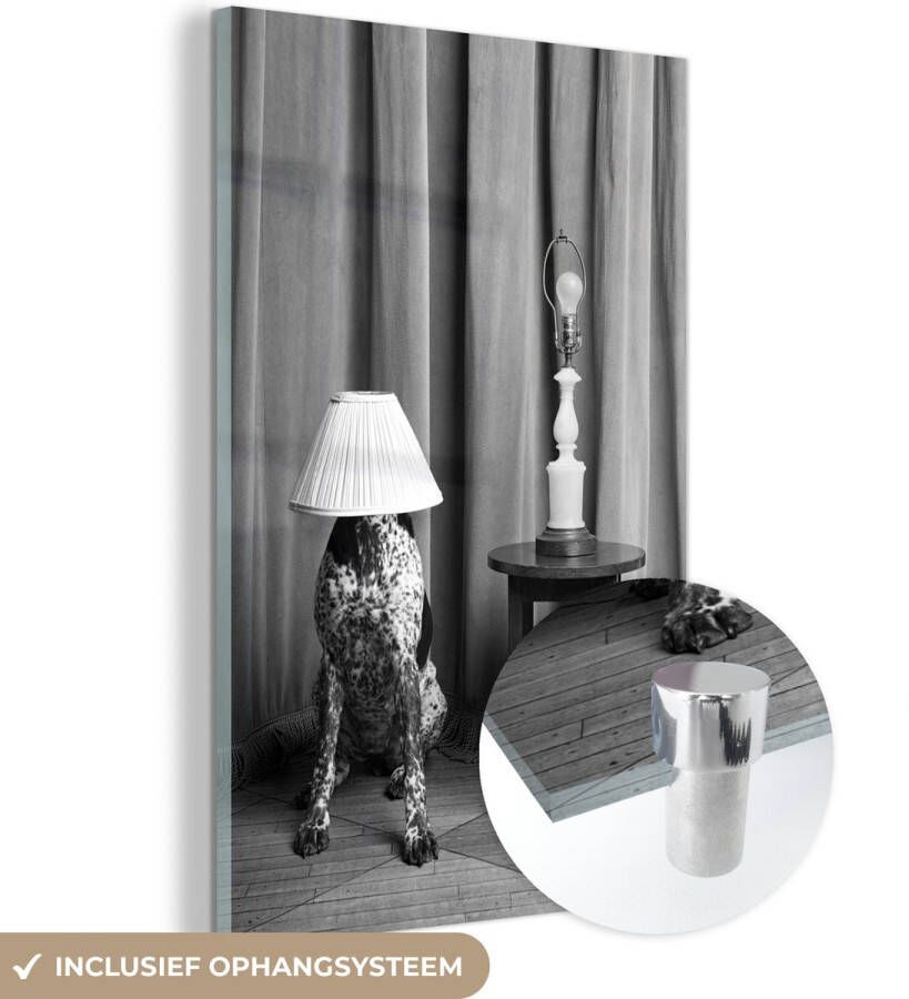 MuchoWow Glasschilderij 60x90 cm Schilderij acrylglas Hond met een lampenkap op zijn hoofd zwart wit Foto op glas Schilderijen