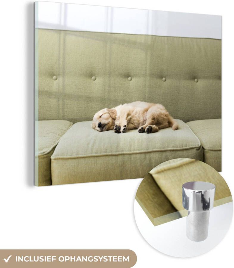MuchoWow Glasschilderij 80x60 cm Schilderij glas Slapende puppy op de bank Foto op acrylglas Schilderijen