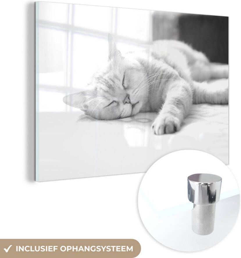 MuchoWow Glasschilderij 90x60 cm Schilderij acrylglas Kat slaapt op bed zwart wit Foto op glas Schilderijen