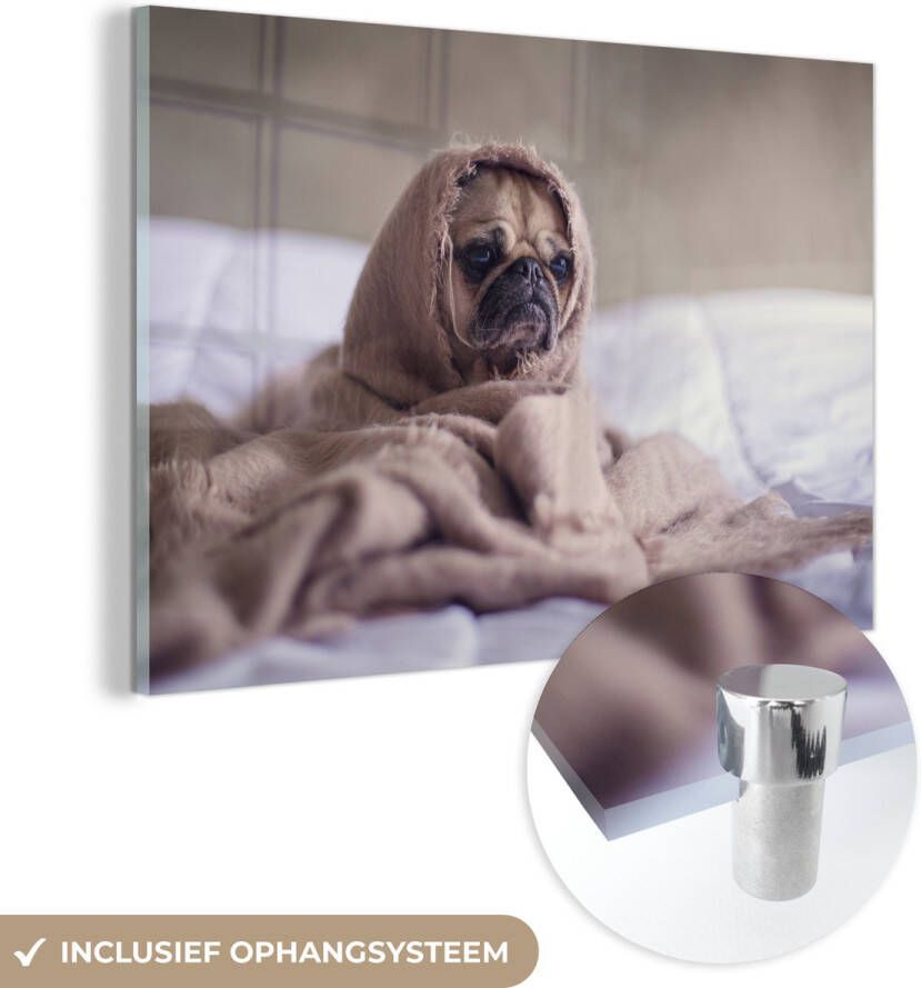 MuchoWow Glasschilderij 90x60 cm Schilderij glas Hond Deken Bed Foto op acrylglas Schilderijen