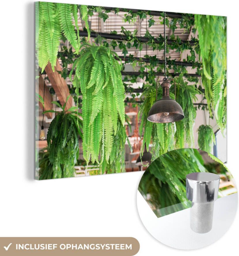 MuchoWow Glasschilderij 90x60 cm Schilderij glas Lampen en planten Foto op acrylglas Schilderijen