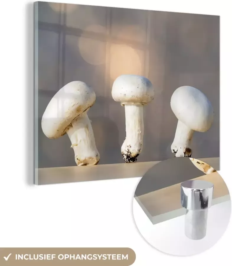MuchoWow Glasschilderij Aantal paddenstoelen op een tafel 40x30 cm Acrylglas Schilderijen Foto op Glas