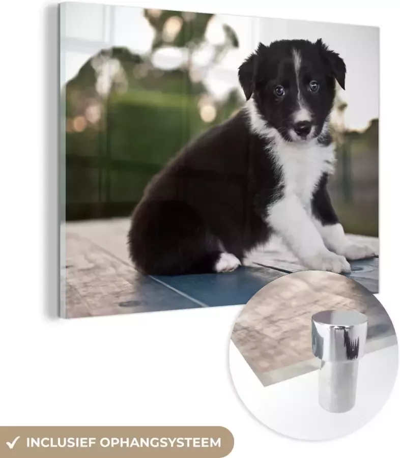 MuchoWow Glasschilderij 120x90 cm Schilderij acrylglas Border collie pup zittend op een tafel Foto op glas Schilderijen