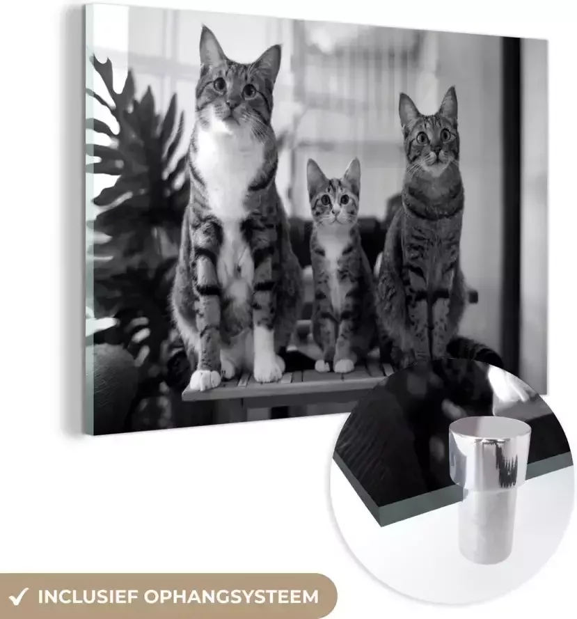 MuchoWow Glasschilderij 180x120 cm Schilderij acrylglas Drie katten op kleine tafel zwart wit Foto op glas Schilderijen