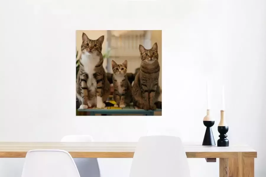 MuchoWow Glasschilderij 50x50 cm Schilderij glas Drie katten op kleine tafel Foto op acrylglas Schilderijen - Foto 3