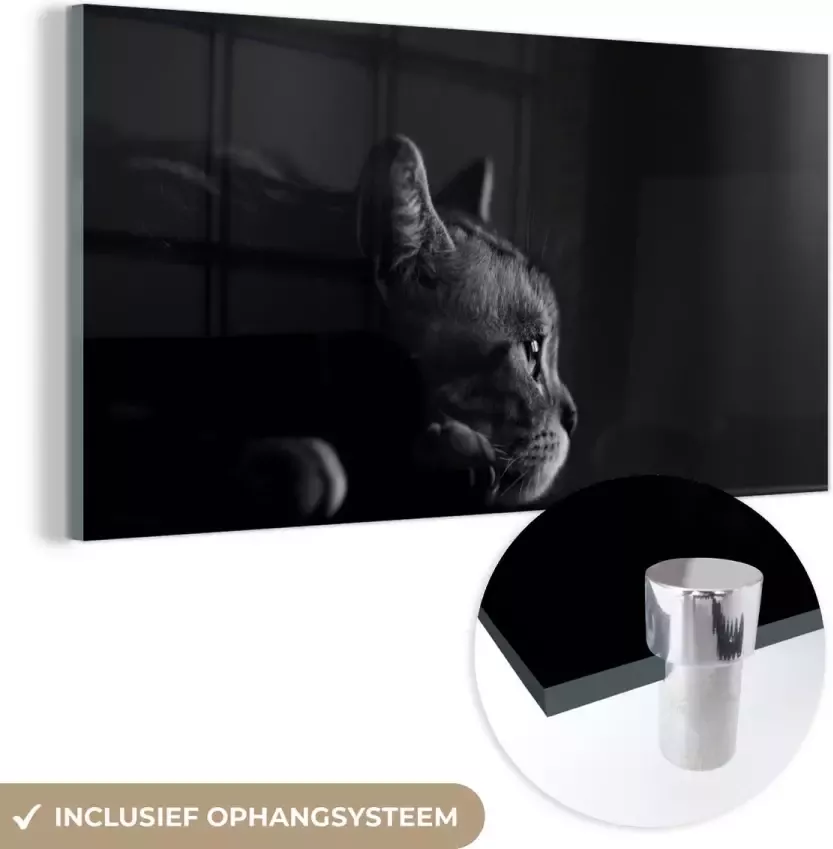 MuchoWow Glasschilderij 40x20 cm Schilderij glas Een Amerikaanse Korthaar ligt op de tafel zwart wit Foto op acrylglas Schilderijen - Foto 2