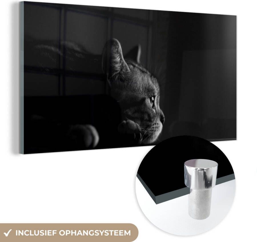 MuchoWow Glasschilderij 80x40 cm Schilderij acrylglas Een Amerikaanse Korthaar ligt op de tafel zwart wit Foto op glas Schilderijen