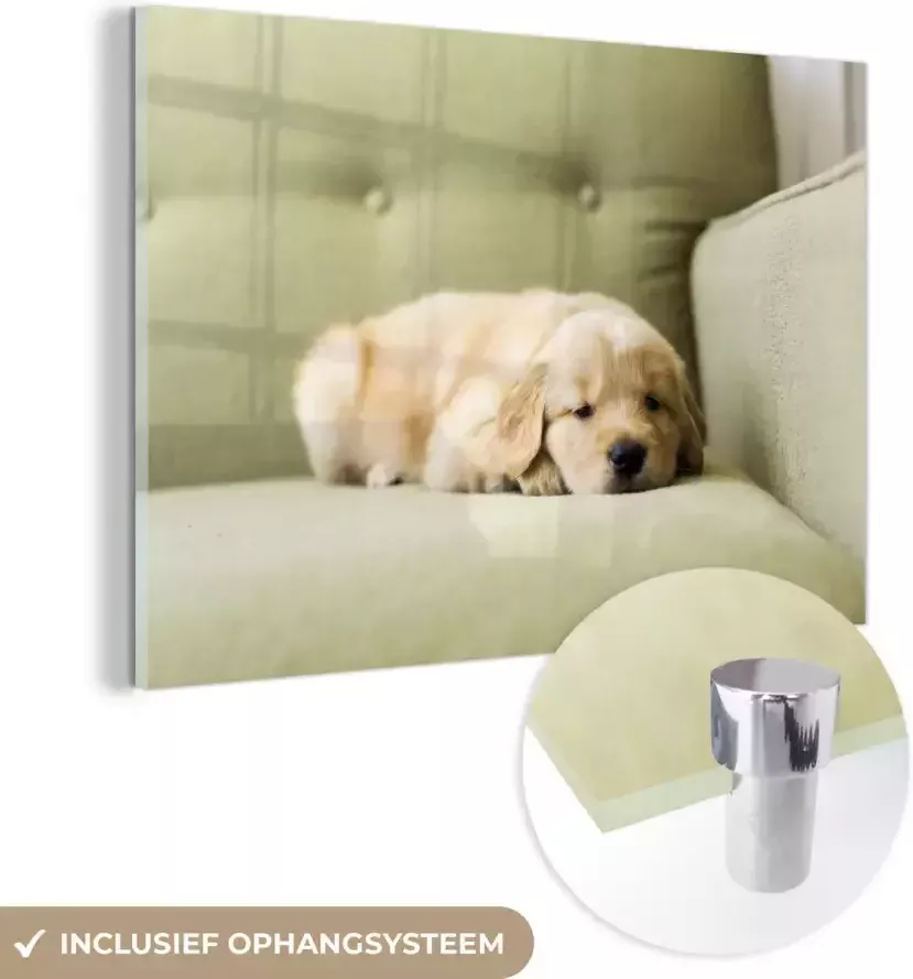 Glasschilderij 120x80 cm Schilderij acrylglas Een slapende Golden Retriever puppy op de bank Foto op glas Muurdecoratie woonkamer Wanddecoratie slaapkamer Schilderijen