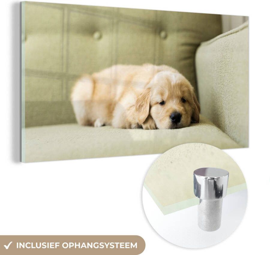 MuchoWow Glasschilderij 160x80 cm Schilderij glas Een slapende Golden Retriever puppy op de bank Foto op acrylglas Schilderijen