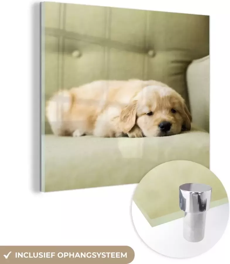 MuchoWow Glasschilderij 90x90 cm Schilderij acrylglas Een slapende Golden Retriever puppy op de bank Foto op glas Schilderijen - Foto 2