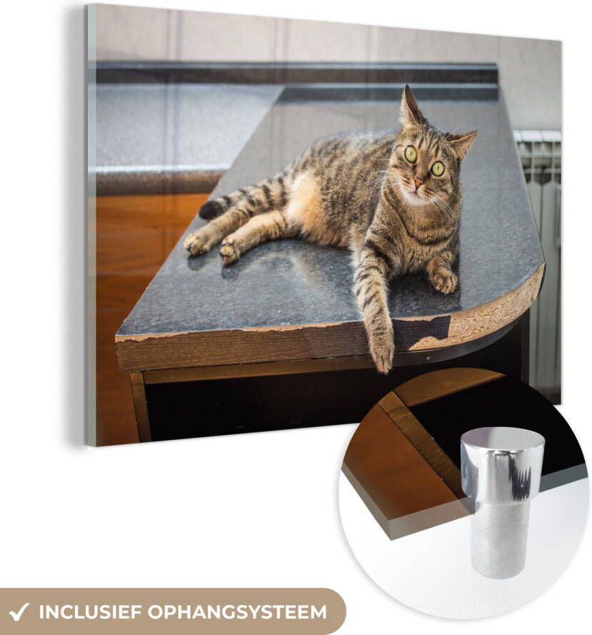 MuchoWow Glasschilderij 60x40 cm Schilderij glas Een Tijgerkat ligt op een houten tafel Foto op acrylglas Schilderijen