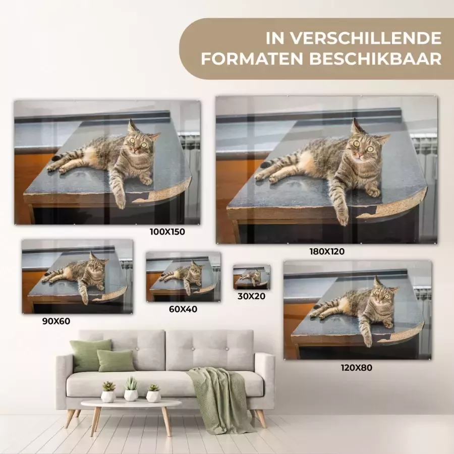 MuchoWow Glasschilderij 60x40 cm Schilderij glas Een Tijgerkat ligt op een houten tafel Foto op acrylglas Schilderijen - Foto 2