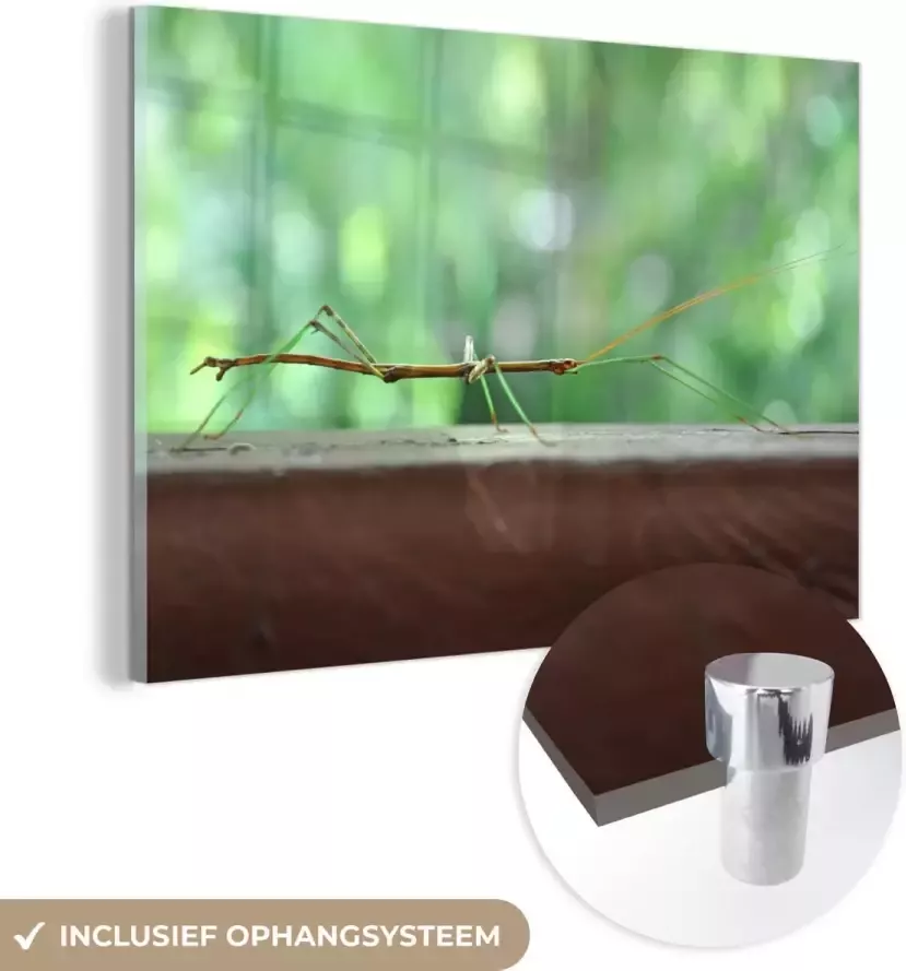 MuchoWow Glasschilderij 150x100 cm Schilderij acrylglas Een wandelende tak op een houten tafel Foto op glas Schilderijen