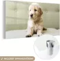 MuchoWow Glasschilderij 40x20 cm Schilderij acrylglas Golden Retriever puppy liggend op de bank Foto op glas Schilderijen - Thumbnail 2