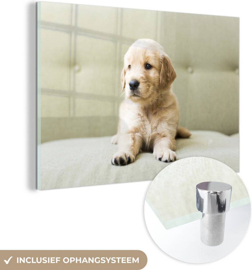 Glasschilderij 60x40 cm Schilderij acrylglas Golden Retriever puppy liggend op de bank Foto op glas Muurdecoratie woonkamer Wanddecoratie slaapkamer Schilderijen