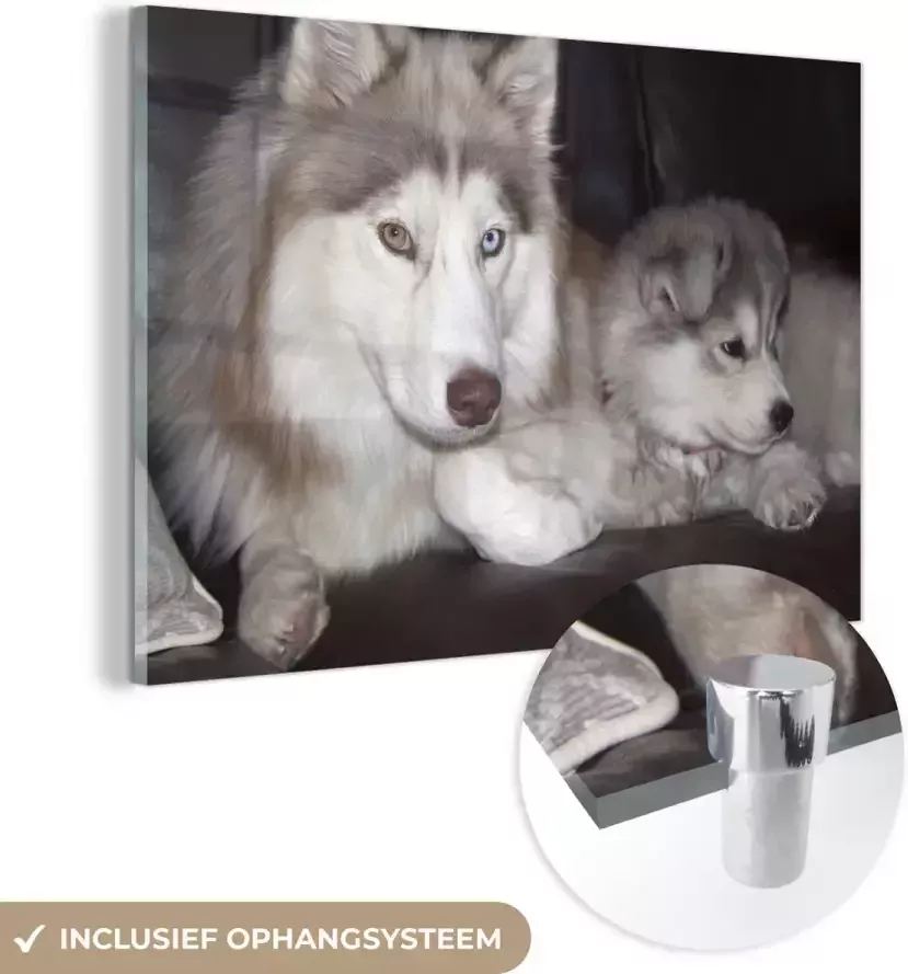 MuchoWow Glasschilderij 60x40 cm Schilderij glas Grote hond met een kleine pup op de bank Foto op acrylglas Schilderijen