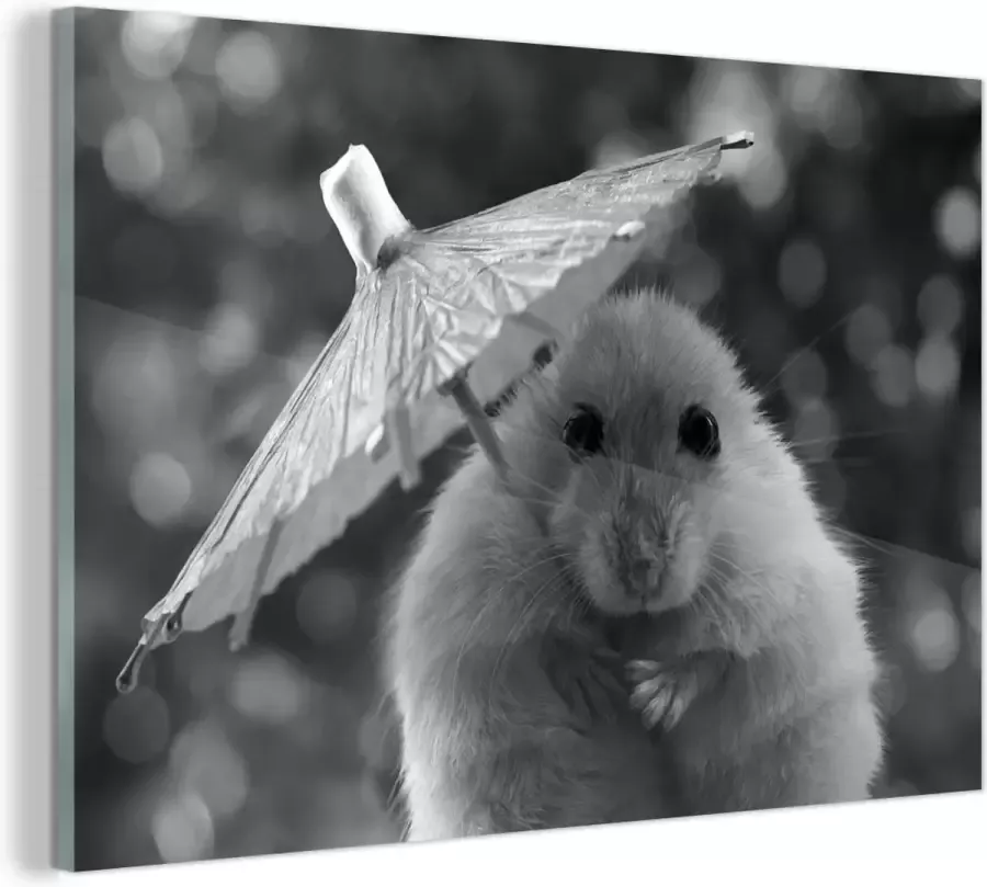 MuchoWow Glasschilderij Hamster met een parasol zwart wit 150x100 cm Acrylglas Schilderijen Foto op Glas