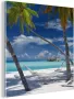 MuchoWow Glasschilderij 50x50 cm Schilderij acrylglas Hangmat Palmboom Oceaan Foto op glas Schilderijen - Thumbnail 3