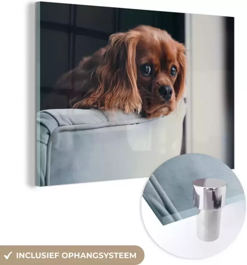 MuchoWow Glasschilderij 180x120 cm Schilderij glas Hond Stoel Kop Foto op acrylglas Schilderijen