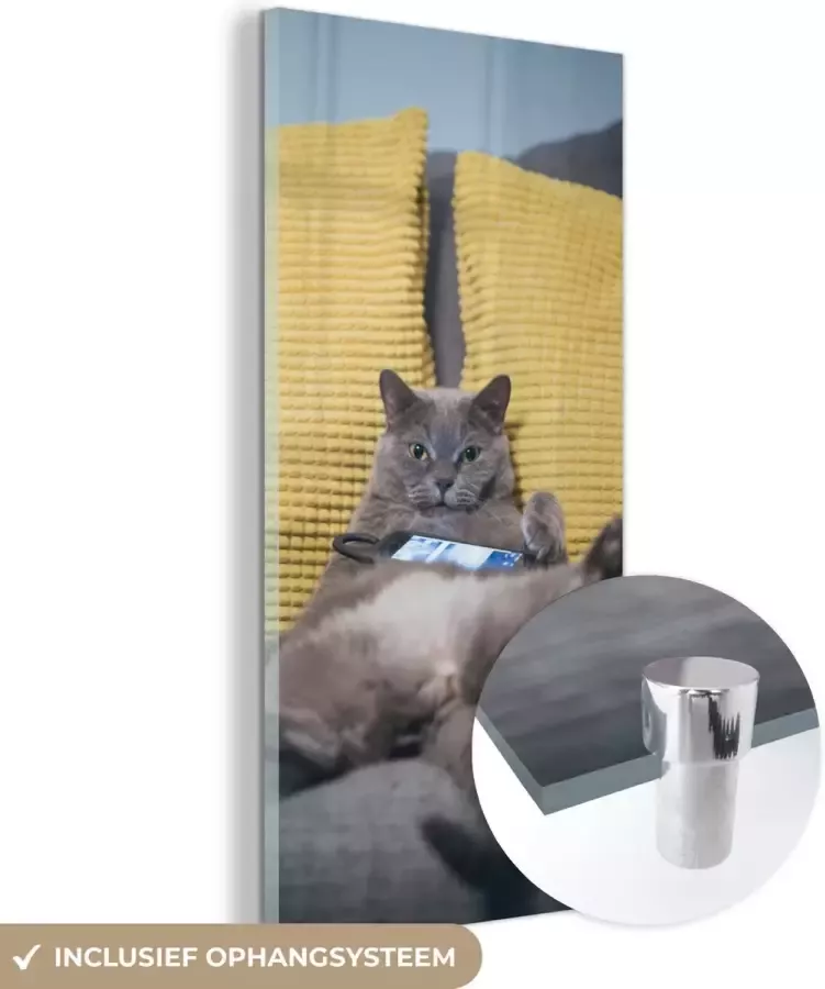 MuchoWow Glasschilderij 40x80 cm Schilderij acrylglas Kat Bank Lui Foto op glas Schilderijen - Foto 2