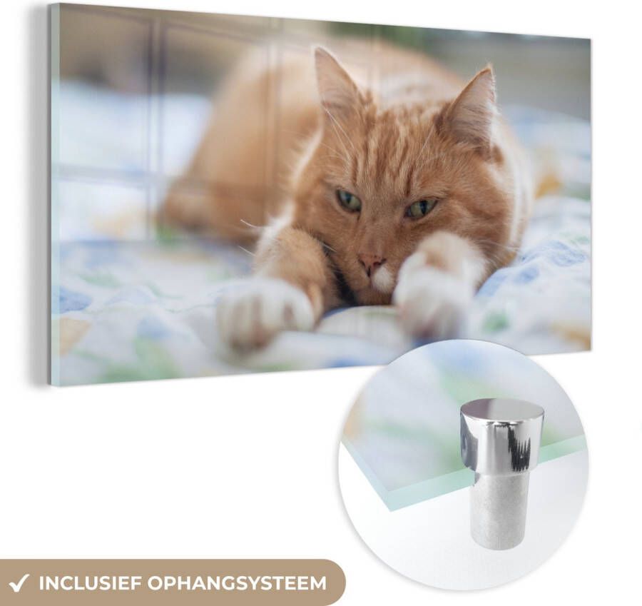 MuchoWow Glasschilderij 160x80 cm Schilderij acrylglas Kat Bed Bedsprei Meisjes Kinderen Jongens Kind Foto op glas Schilderijen