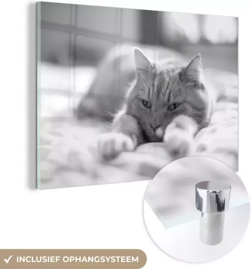 MuchoWow Glasschilderij 180x120 cm Schilderij glas Kat Bed Bedsprei Meisjes Kinderen Jongens Kind Foto op acrylglas Schilderijen