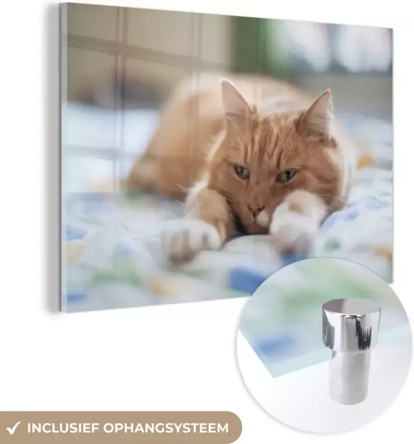 MuchoWow Glasschilderij 30x20 cm Schilderij acrylglas Kat Bed Bedsprei Meisjes Kinderen Jongens Kind Foto op glas Schilderijen