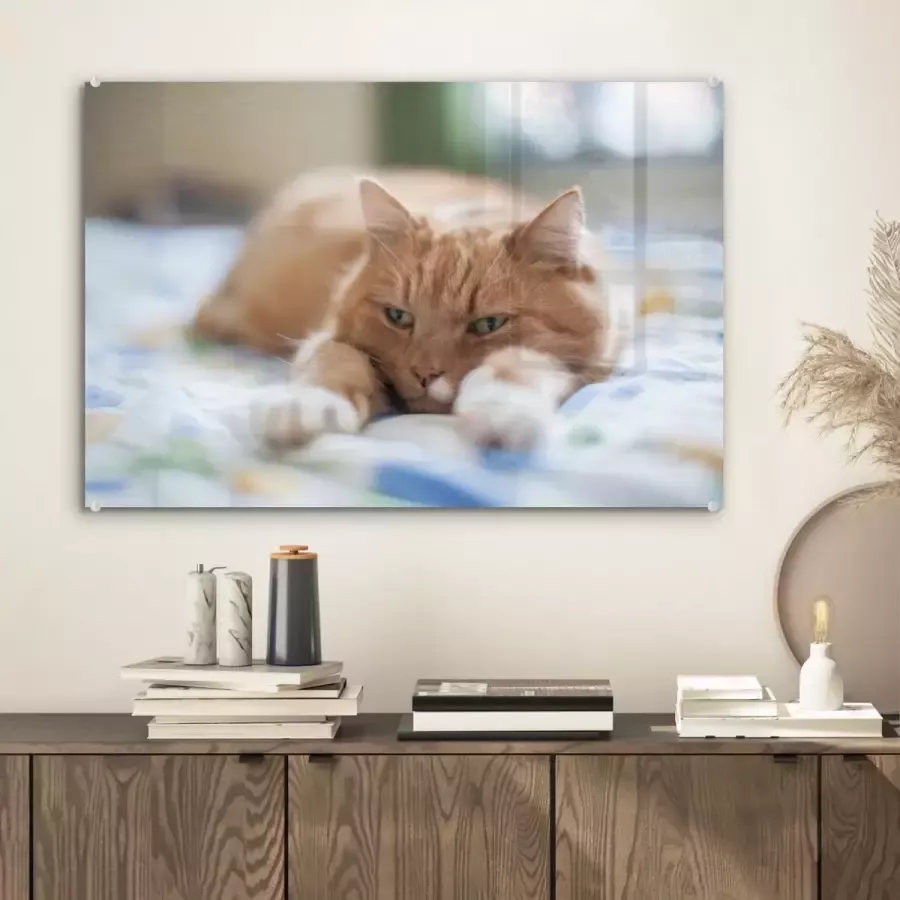 MuchoWow Glasschilderij 60x40 cm Schilderij acrylglas Kat Bed Bedsprei Meisjes Kinderen Jongens Kind Foto op glas Schilderijen
