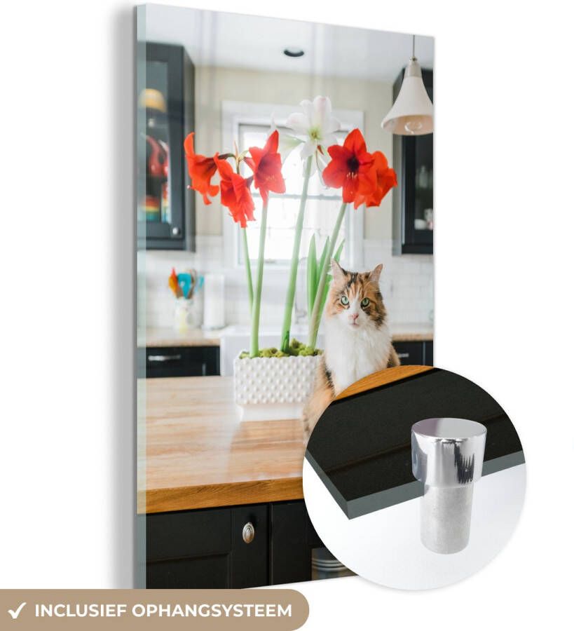 MuchoWow Glasschilderij 80x120 cm Schilderij glas Kat Bloemen Tafel Foto op acrylglas Schilderijen