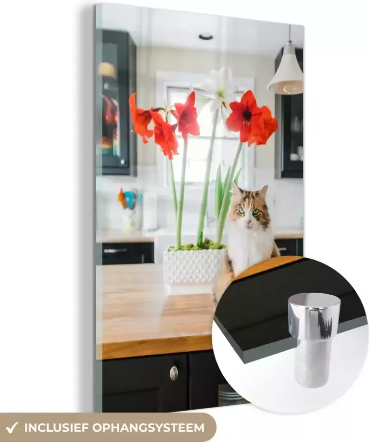 MuchoWow Glasschilderij 80x120 cm Schilderij glas Kat Bloemen Tafel Foto op acrylglas Schilderijen - Foto 2