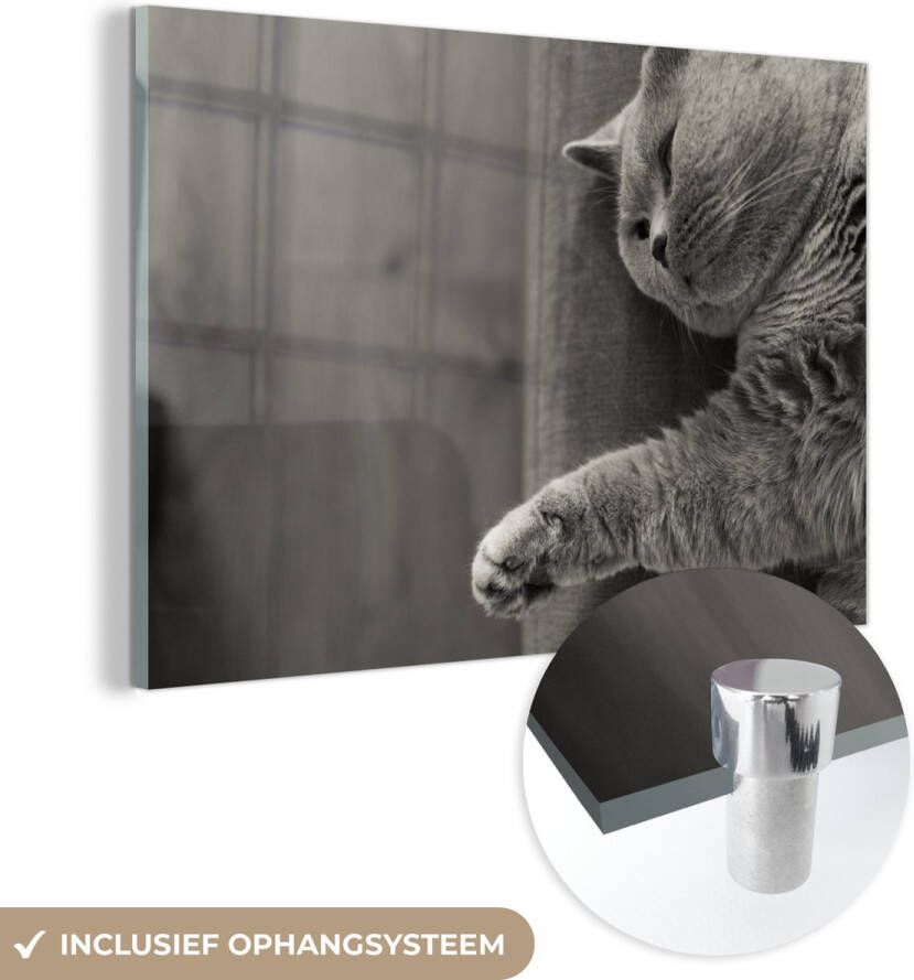MuchoWow Glasschilderij 30x20 cm Schilderij acrylglas Kat die op de bank ligt Foto op glas Schilderijen
