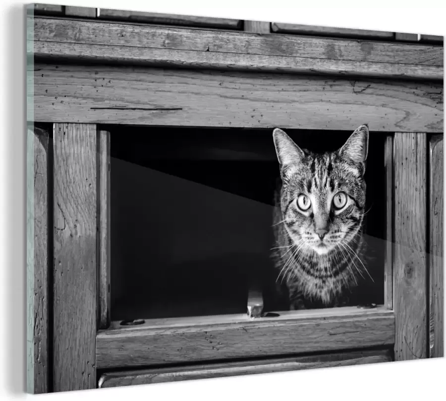 MuchoWow Glasschilderij Kat die uit een kast komt 120x80 cm Acrylglas Schilderijen Foto op Glas
