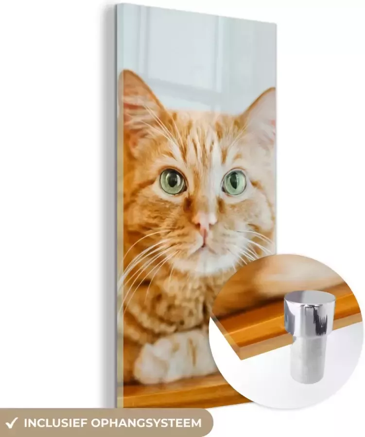 MuchoWow Glasschilderij 20x40 cm Schilderij acrylglas Kat Hout Kast Foto op glas Schilderijen - Foto 2