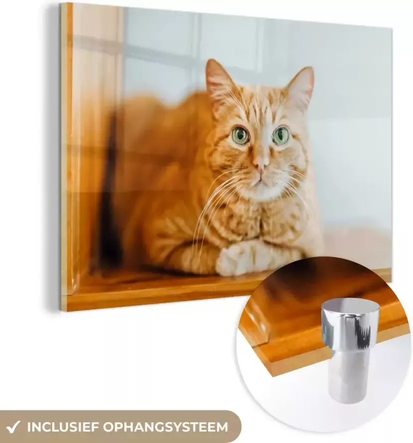 MuchoWow Glasschilderij 60x40 cm Schilderij acrylglas Kat Hout Kast Foto op glas Schilderijen