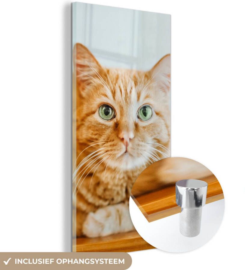 MuchoWow Glasschilderij 80x160 cm Schilderij acrylglas Kat Hout Kast Foto op glas Schilderijen