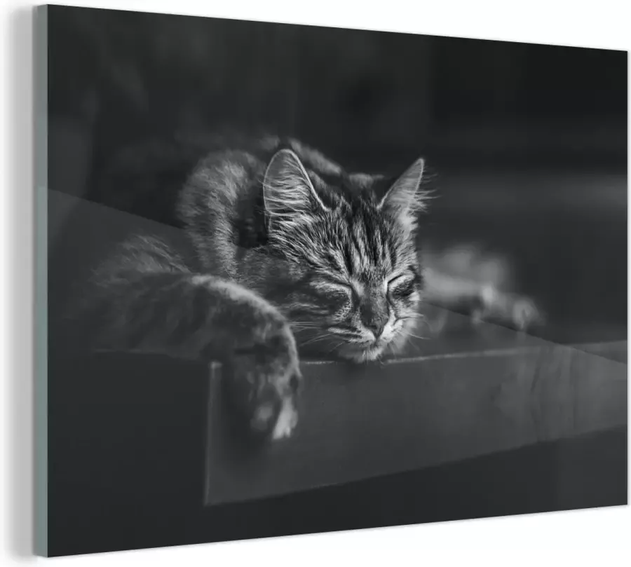 MuchoWow Glasschilderij Kat ligt op een zwarte tafel te slapen zwart wit 120x80 cm Acrylglas Schilderijen Foto op Glas
