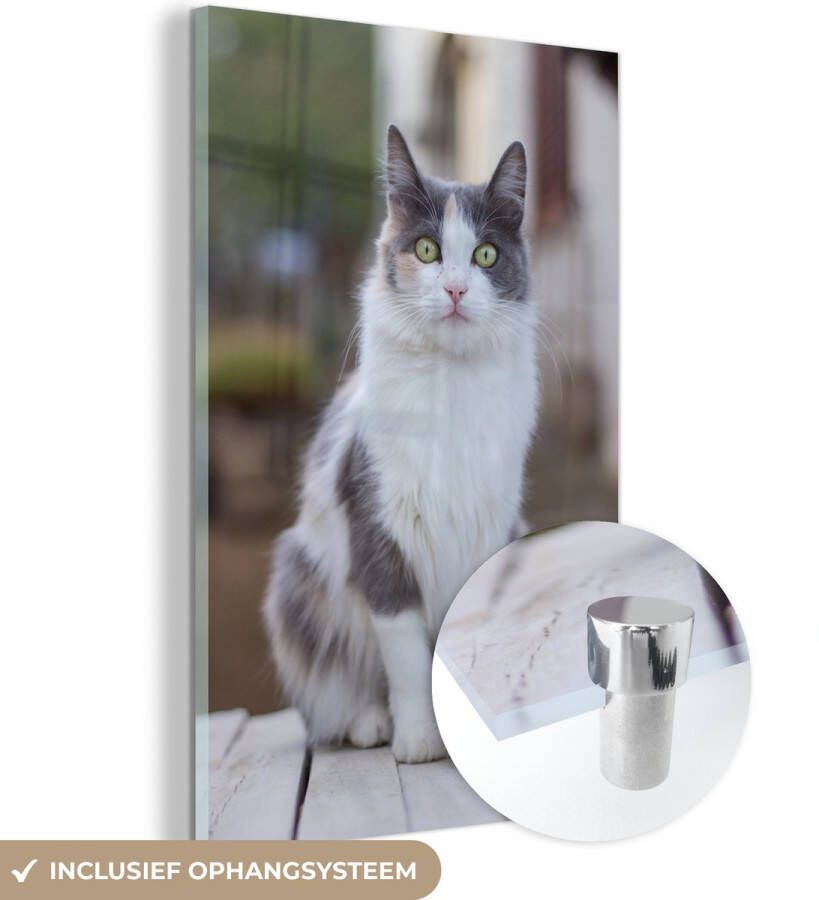 MuchoWow Glasschilderij 20x30 cm Schilderij glas Kat Portret Tafel Meisjes Kinderen Jongens Kids Foto op acrylglas Schilderijen