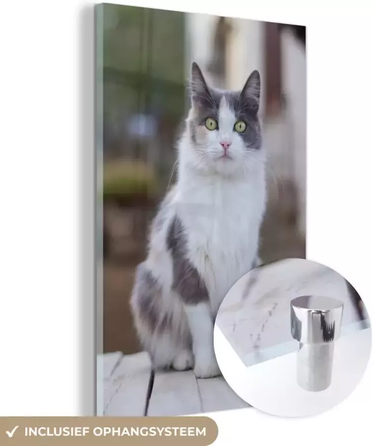 MuchoWow Glasschilderij 80x120 cm Schilderij acrylglas Kat Portret Tafel Meisjes Kinderen Jongens Kids Foto op glas Schilderijen - Foto 2