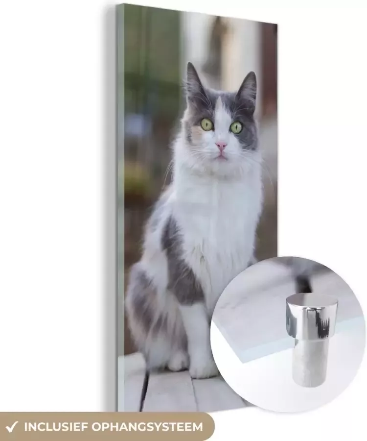 MuchoWow Glasschilderij 80x160 cm Schilderij acrylglas Kat Portret Tafel Meisjes Kinderen Jongens Kids Foto op glas Schilderijen - Foto 2
