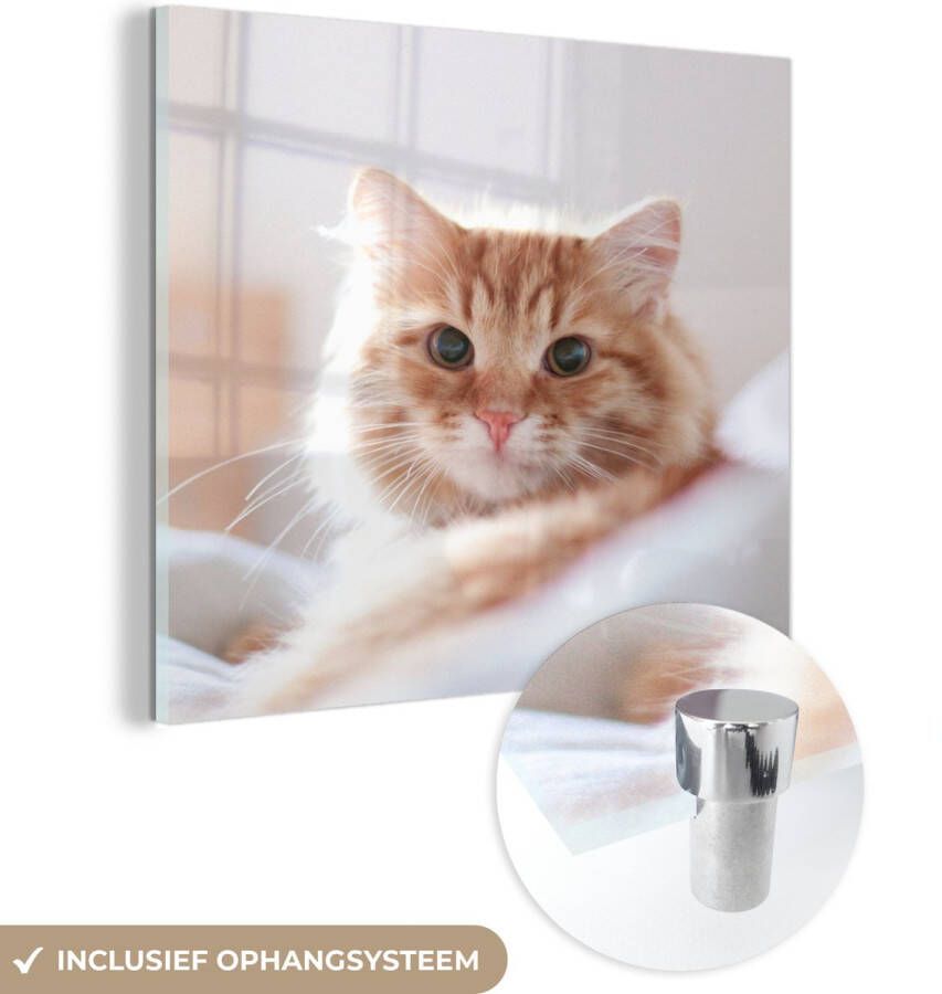MuchoWow Glasschilderij 50x50 cm Schilderij acrylglas Kat Rood Bed Meisjes Kinderen Jongens Kids Foto op glas Schilderijen