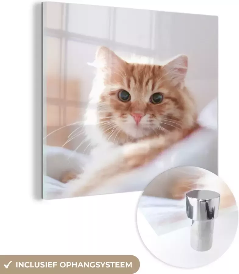 MuchoWow Glasschilderij 50x50 cm Schilderij acrylglas Kat Rood Bed Meisjes Kinderen Jongens Kids Foto op glas Schilderijen - Foto 2