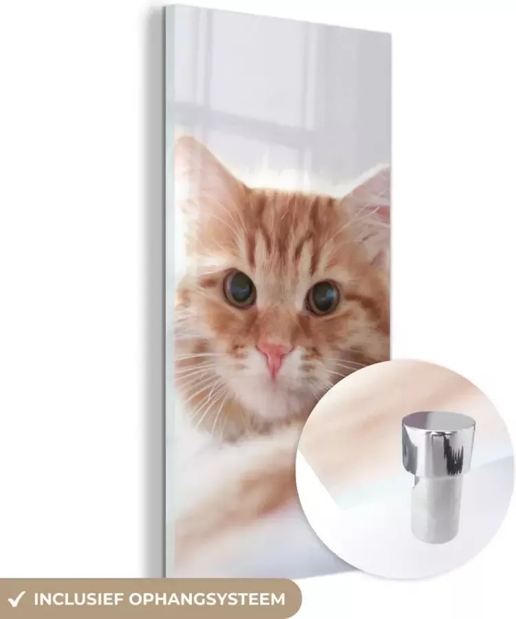 MuchoWow Glasschilderij 60x120 cm Schilderij acrylglas Kat Rood Bed Meisjes Kinderen Jongens Kids Foto op glas Schilderijen - Foto 2